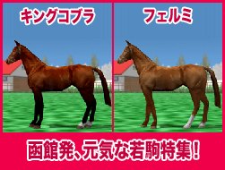 フェルミ / キングコブラ