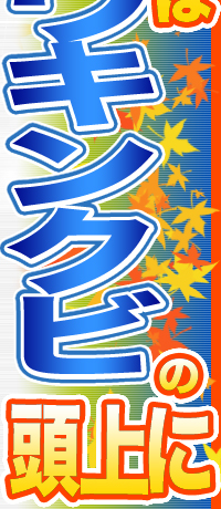 H̏̓VELNr̓