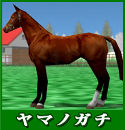 ヤマノガチ