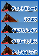チョットモレータ バスエフ イモワルジュイマ イエローステルス ナイティイレブン