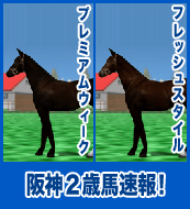 フレッシュスタイル / プレミアムウィーク