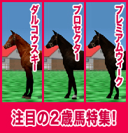 ダルコウスキー / プロセクター / プレミアムウィーク