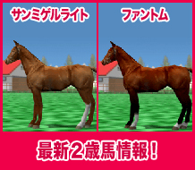サンミゲルライト / ファントム