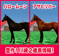 ハロームーン / アサヒリバー