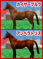 カイザーブルク / アンペラトリス