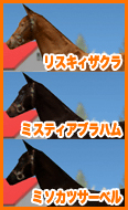 XLBUN / ~XeBAun / ~\JcT[x