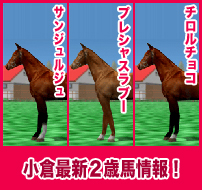 サンジュルジュ / プレシャスラブー / チロルチョコ