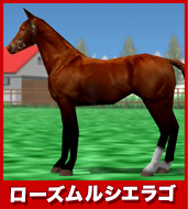 ローズムルシエラゴ