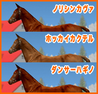 ノリシンカヴァ / ホッカイカクテル / ダンサーハギノ