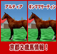 ギンママサーティン / アルティア