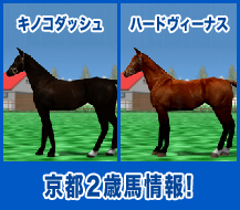 ハードヴィーナス / キノコダッシュ