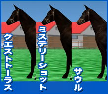 サウル・ミステリーショット・クエストトーラス