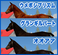 ウメボシプリズム / グランギルバート /オオアア
