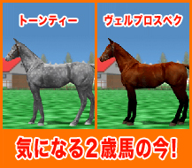 トーンティー / ヴェルプロスペク