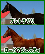 プレトラザリ ロードマジェスティ