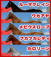 ルーマクレイン / ワカアヤ / メビウスロープ / フカフカレディ / カロリーン