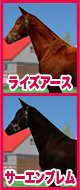 ライズアース / サーエンブレム