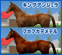 キングアンジェラ / フカフカデメテル