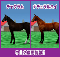 チャクラム / ナチュラルハイ