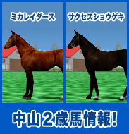ミカレイダース / サクセスショウゲキ