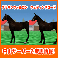 グラサンウォルロン / ウェディングロード