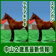 ケダマキセキ / スタンガン