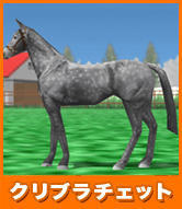 クリブラチェット