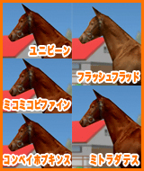 フラッシュフラッド / ミトラダテス / ユニビーン / ミコミコビファイン / コンペイホプキンス