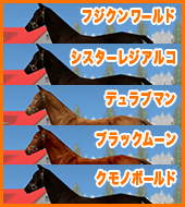 フジクンワールド シスターレジアルコ デュラブマン ブラックムーン クモノボールド