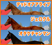 デッドオアアライブ / ジェロクル / オタケチャンマン