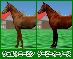 ウェルトニービン / ダービーオーナーズ