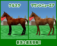 クルスケ / マウントニューエア