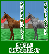 ステンレスナイト / ネコミミアルファー