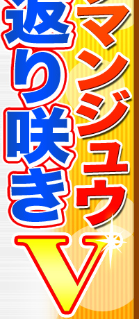 rbO}WE@Ԃ炫uI
