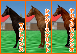 マサレインス/シナジースケリット/ヤセイジバクシンオ