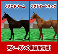 アダチダートキング / メグロドリーム