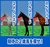 スペラックス / フルスピード / ユメノシズク