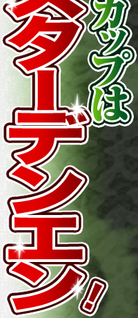 WpJbv̓X^[fGI