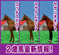 ゴッデスアロー / マサクレタリア / サザンオオジャ