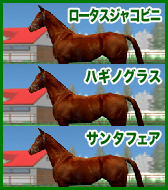 ロータスジャコビニ / ハギノグラス / サンタフェア