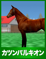 カツンパルキオン