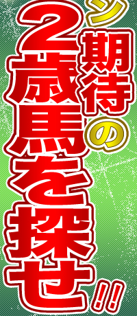 V[Y@҂̂QΔnTII
