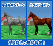札幌2歳馬情報! ネイルギムチャン / エクスライパシ