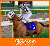 ボダイシン