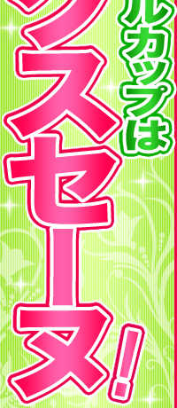 mgj}CJbv̓GNXZ[kI