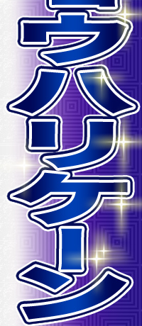 t̏̓EnP[