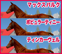 }bNXoN / |s[eBj[ / eBJ[F