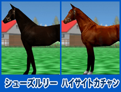 シューズルリー / ハイサイトカチャン