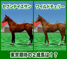 セブンデイズサン / ワイルドチェリー